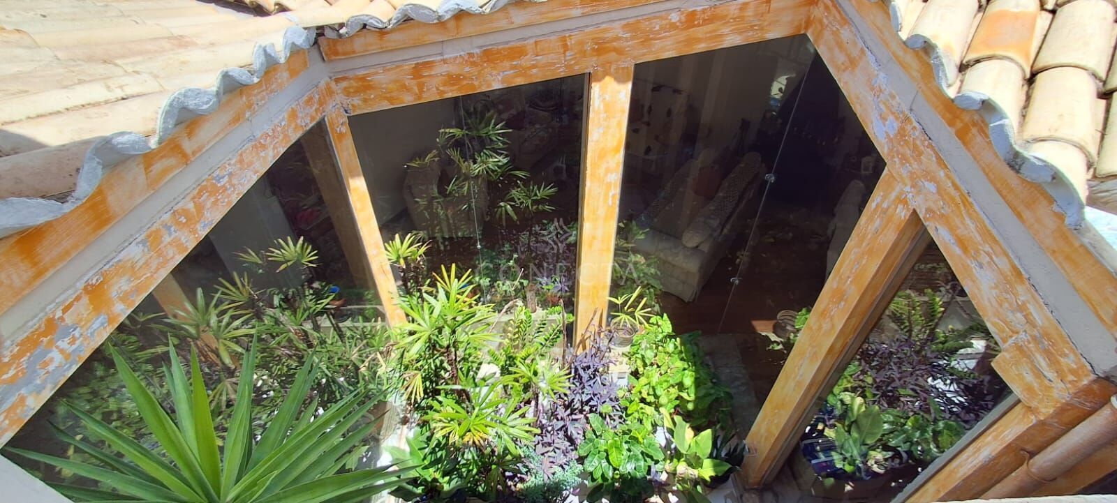 Casa, 4 quartos, 650 m² - Foto 10