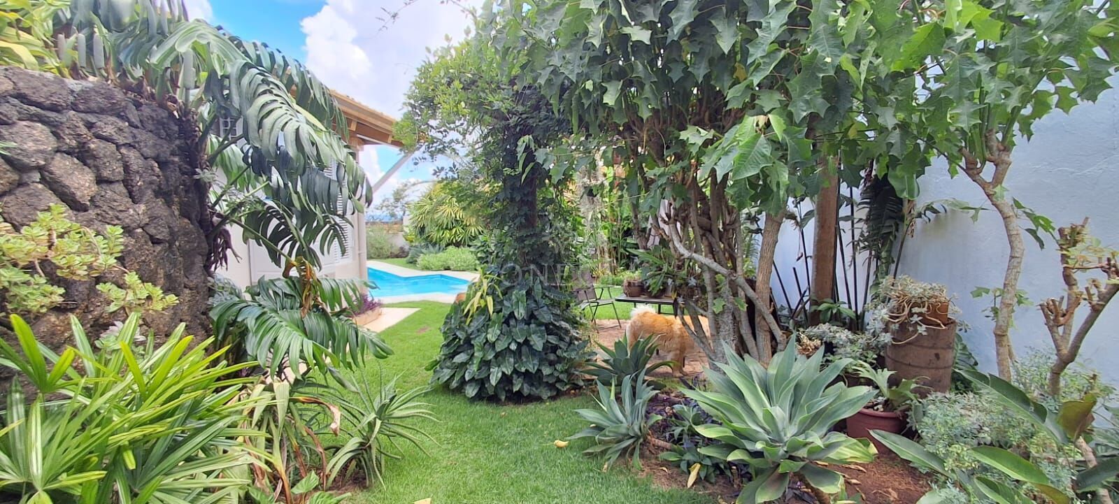 Casa, 4 quartos, 650 m² - Foto 9