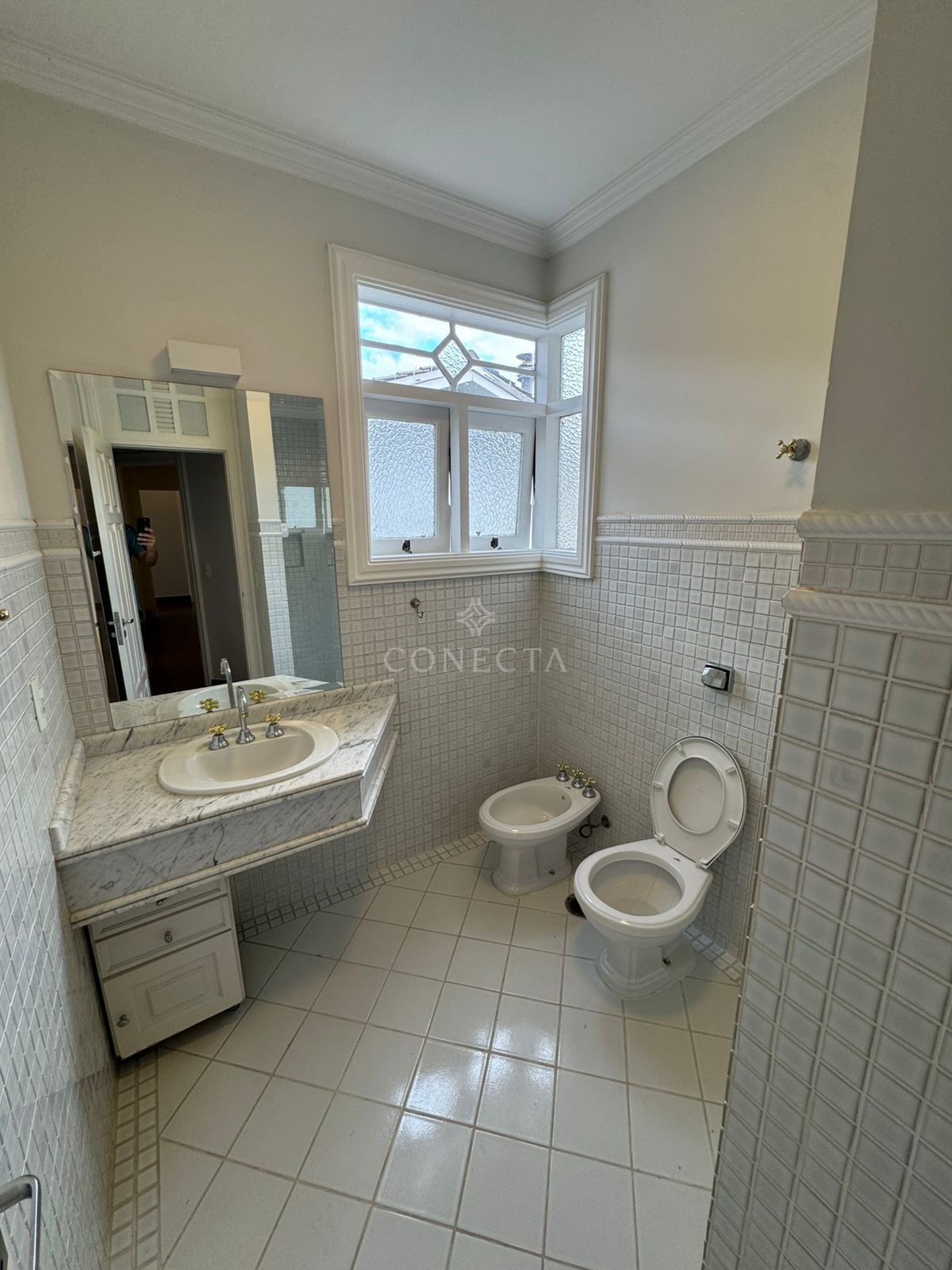 Casa, 4 quartos, 437 m² - Foto 15