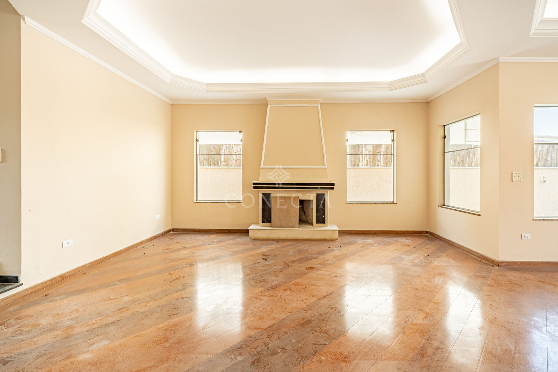 Casa, 4 quartos, 450 m² - Foto 6