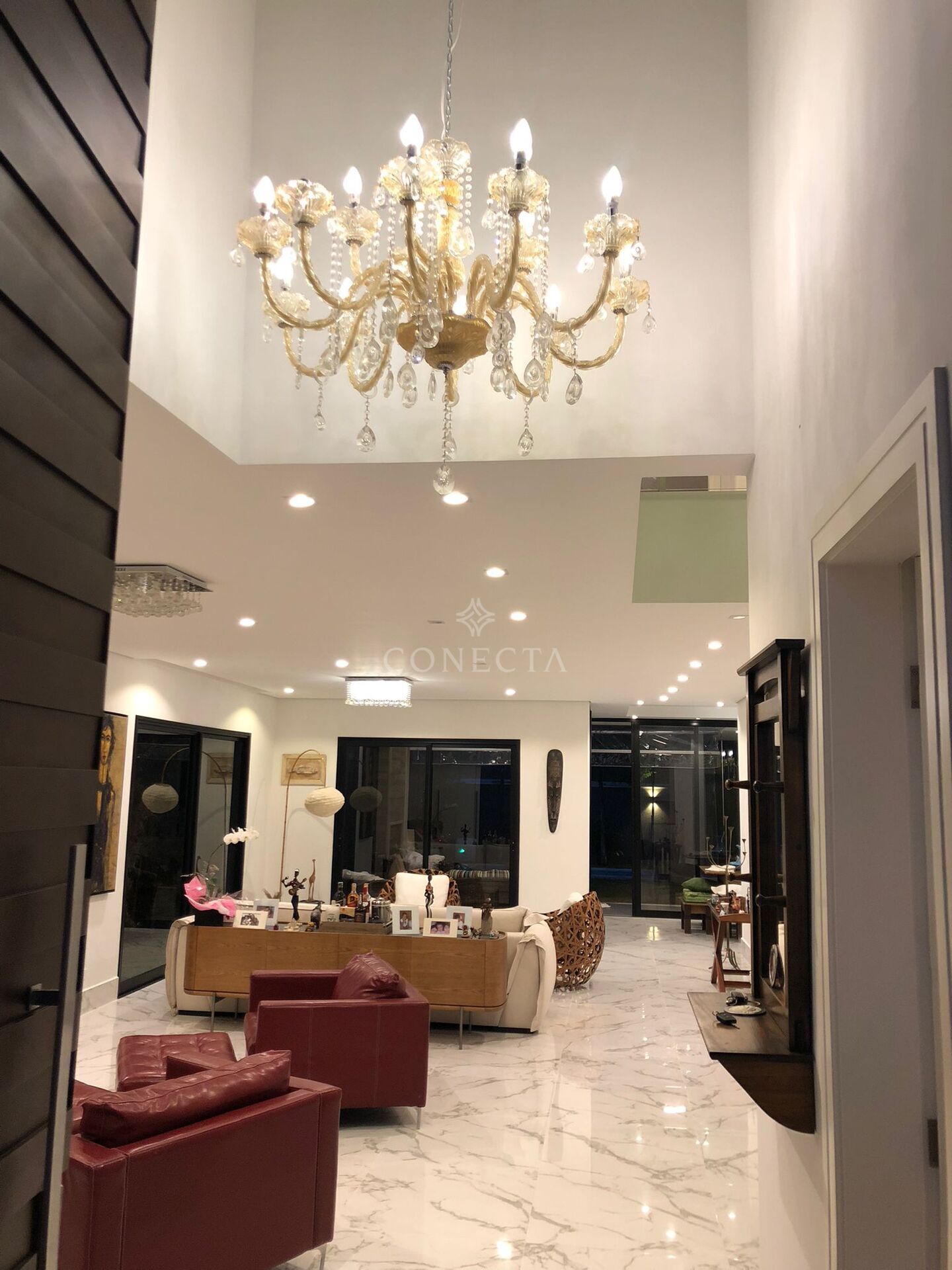 Casa, 4 quartos, 480 m² - Foto 4