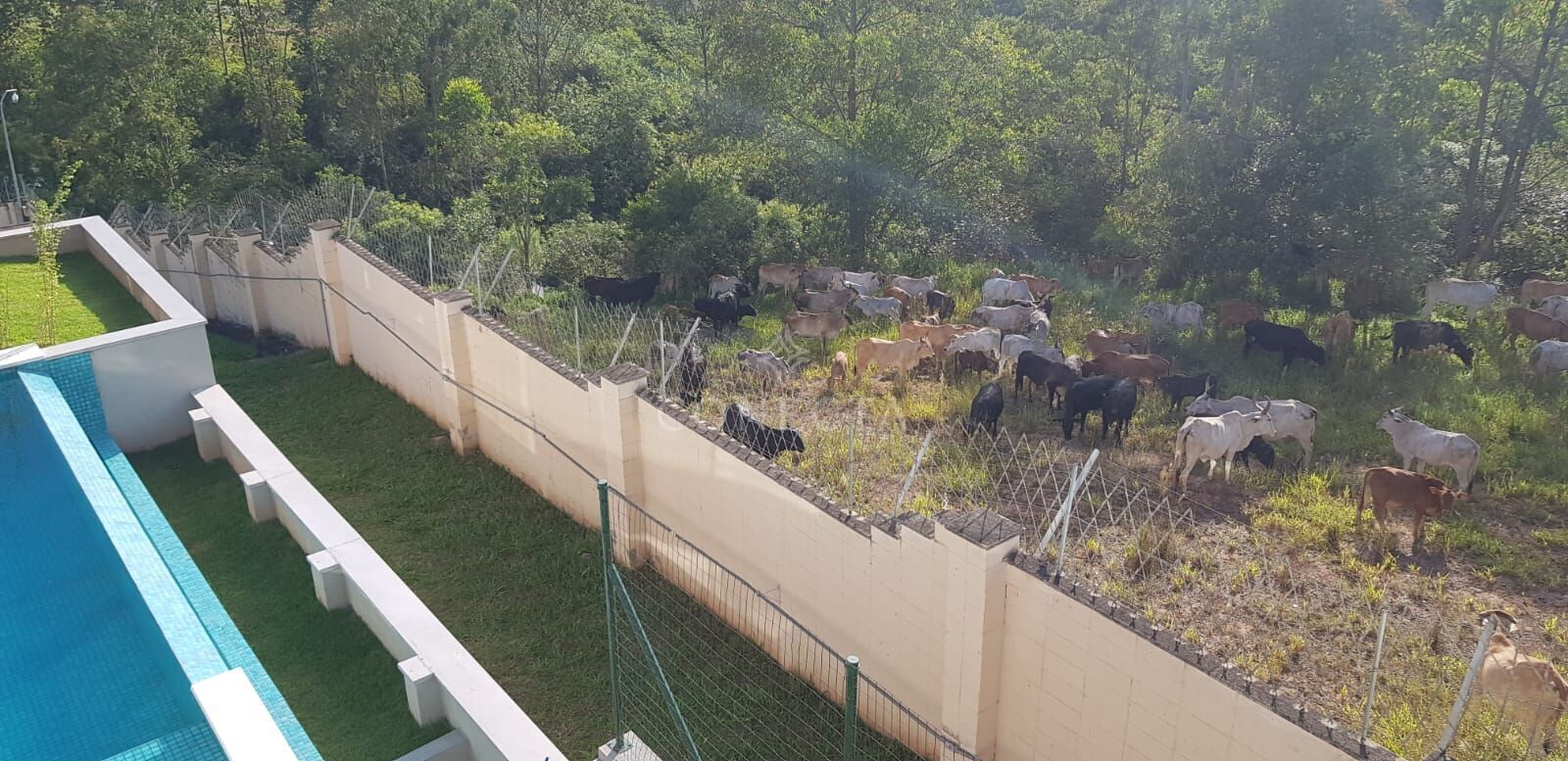 Casa, 4 quartos, 520 m² - Foto 3