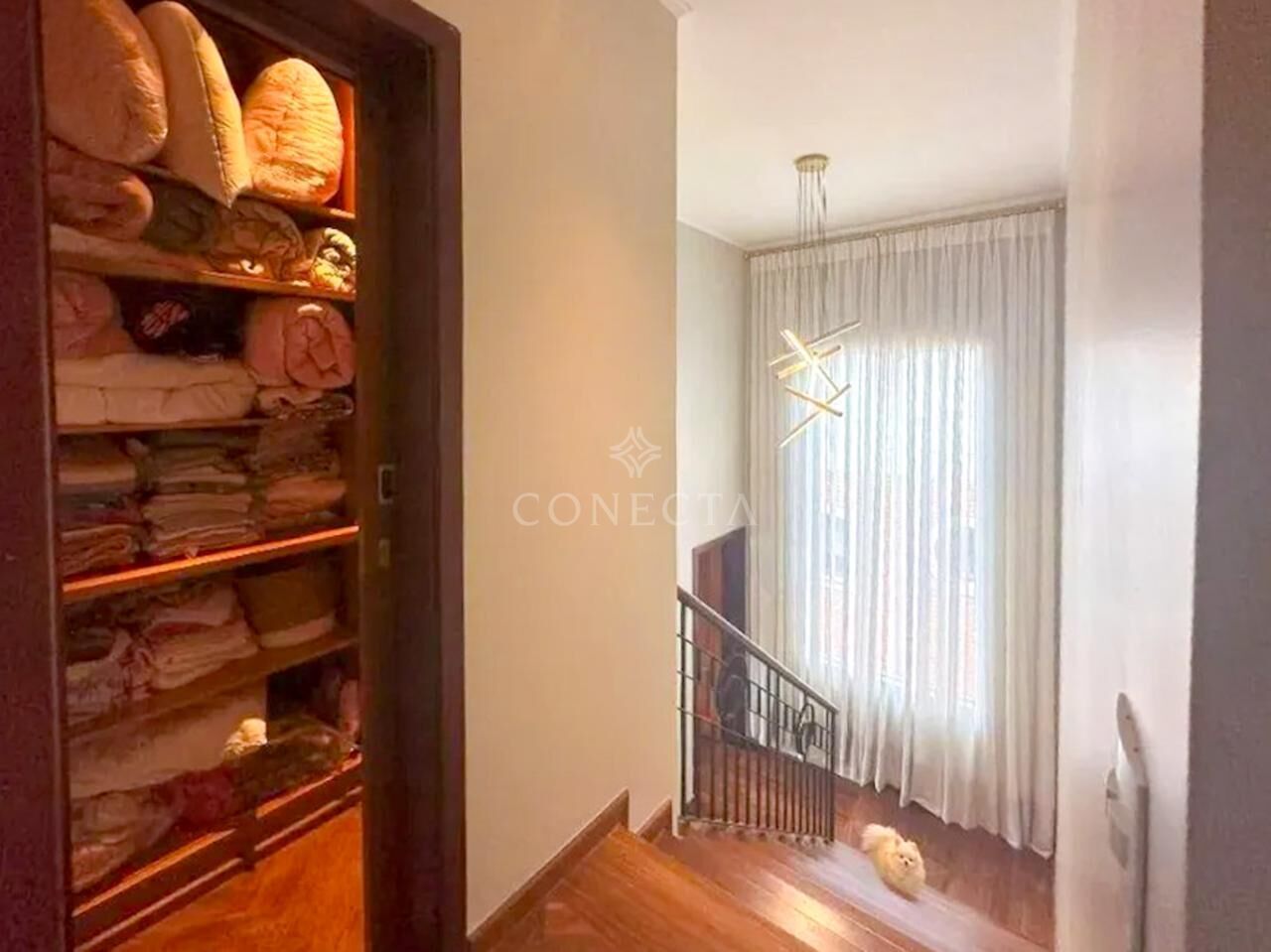 Casa, 4 quartos, 450 m² - Foto 35