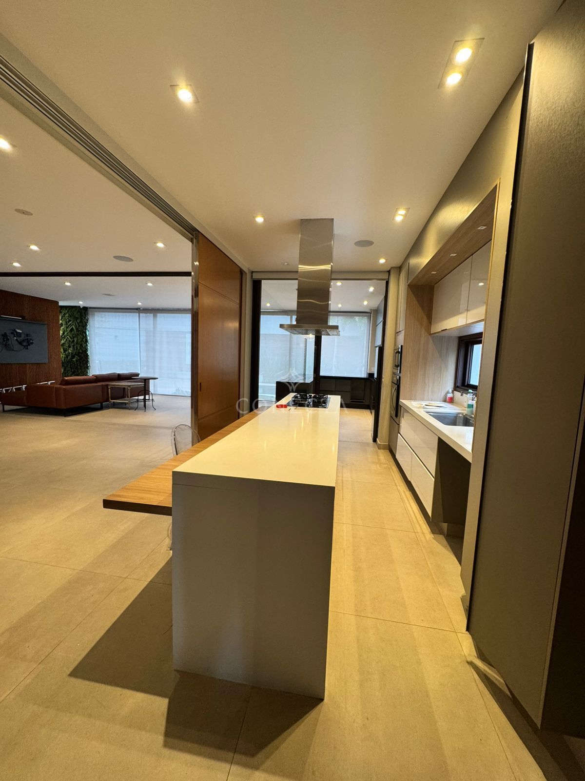 Casa, 4 quartos, 498 m² - Foto 10