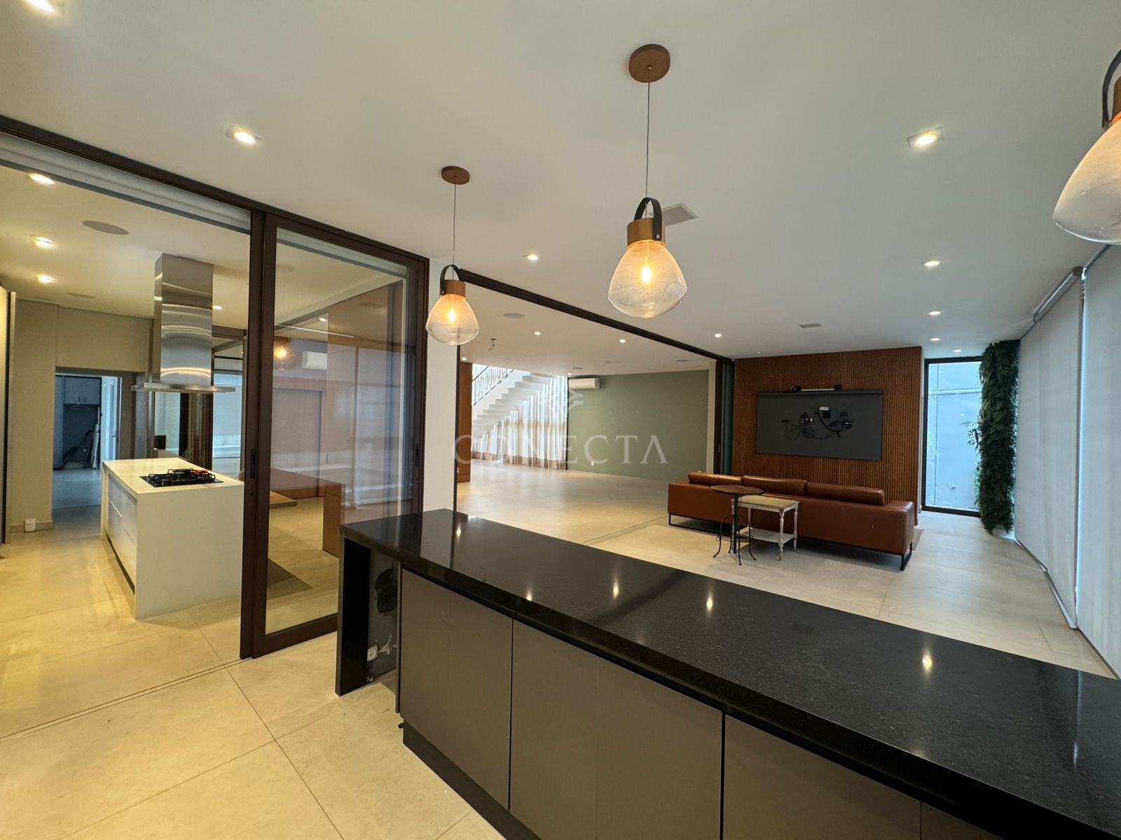 Casa, 4 quartos, 498 m² - Foto 8