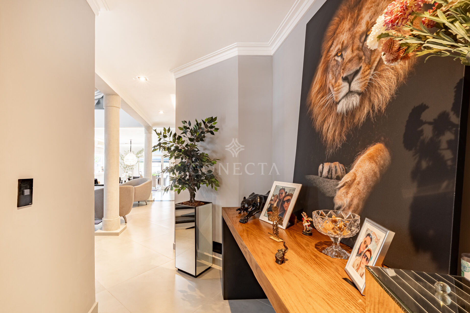 Casa, 3 quartos, 360 m² - Foto 4