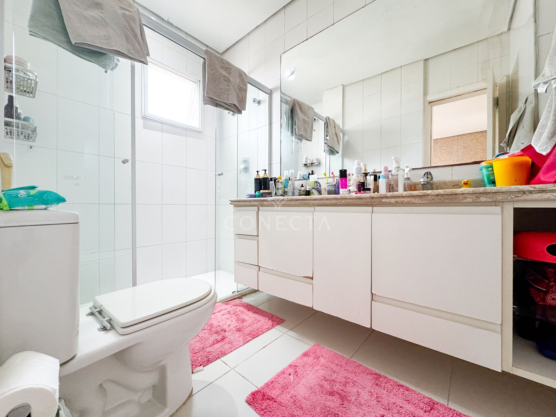 Casa, 4 quartos, 290 m² - Foto 32