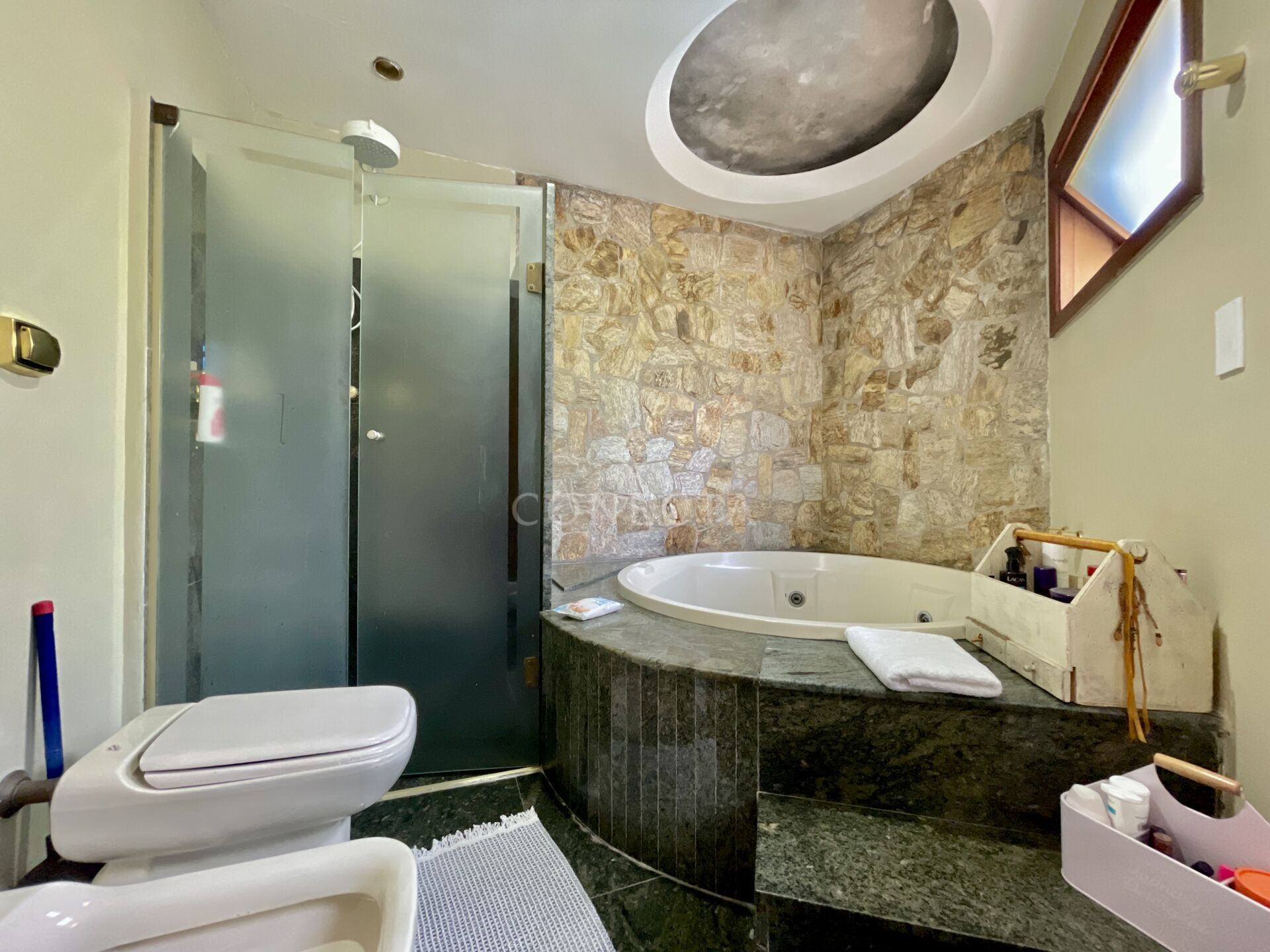 Casa, 4 quartos, 495 m² - Foto 29
