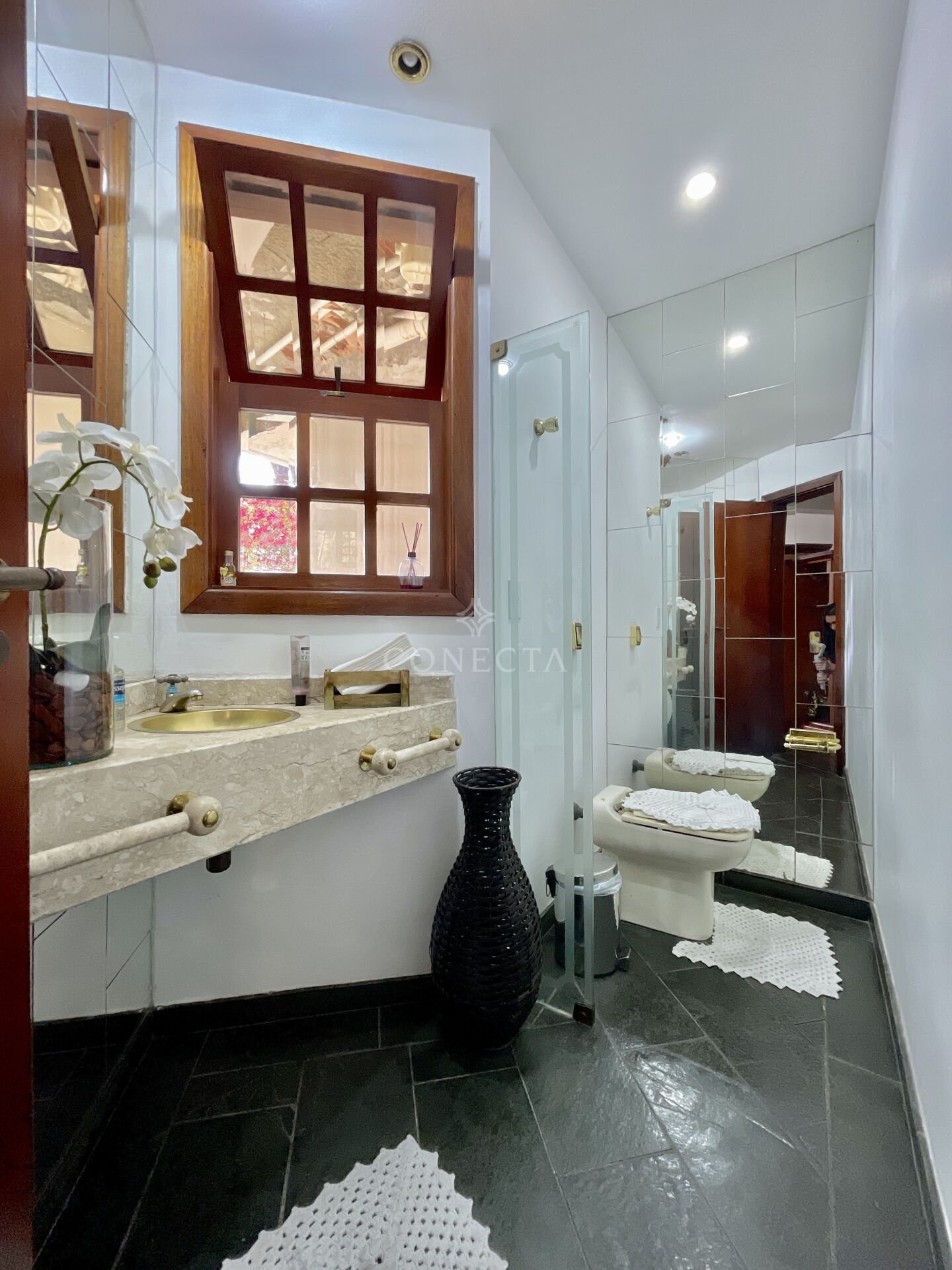 Casa, 4 quartos, 495 m² - Foto 20