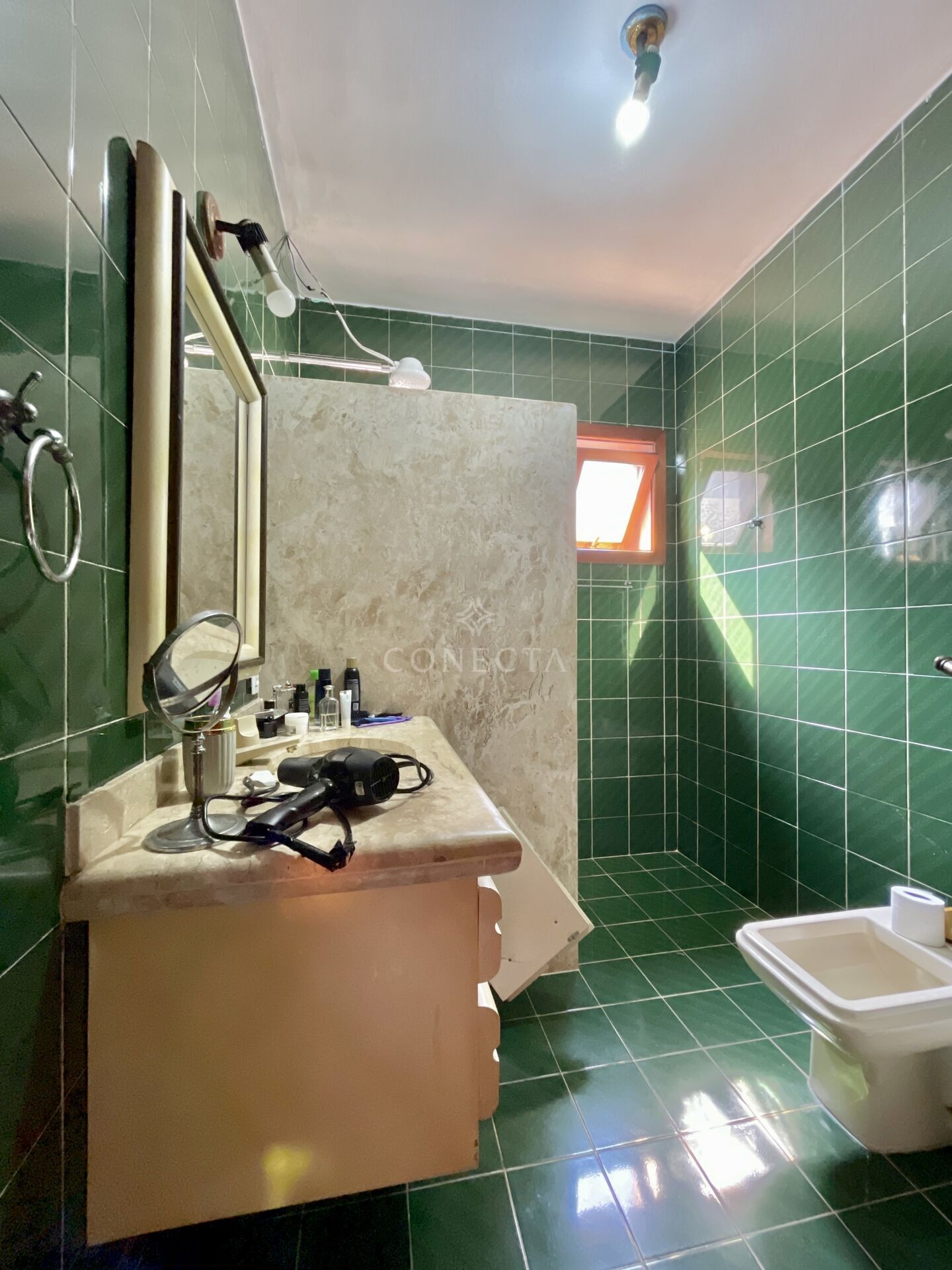 Casa, 4 quartos, 495 m² - Foto 32