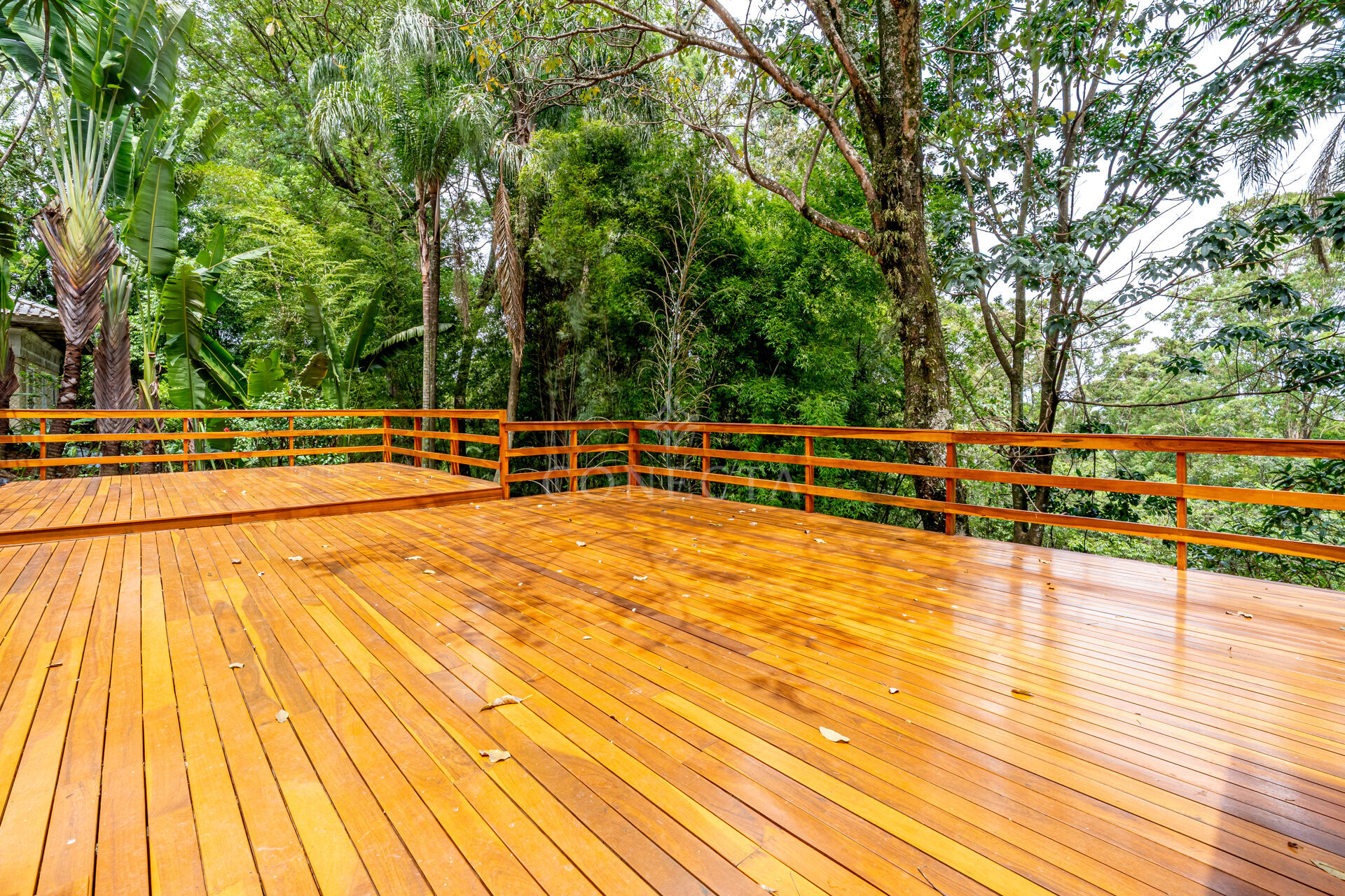 Casa, 5 quartos, 3400 m² - Foto 14