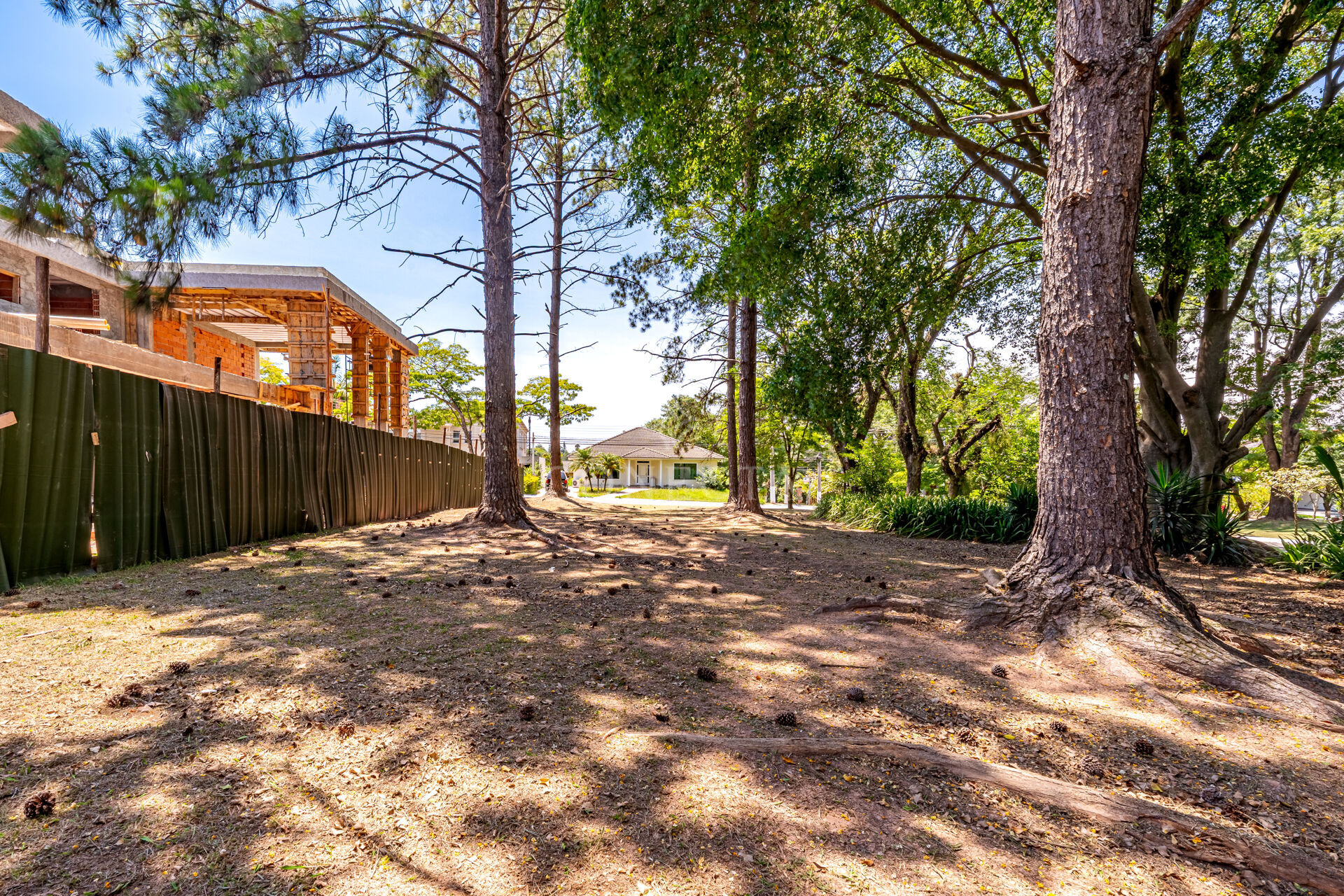 Terreno, 602 m² - Foto 5