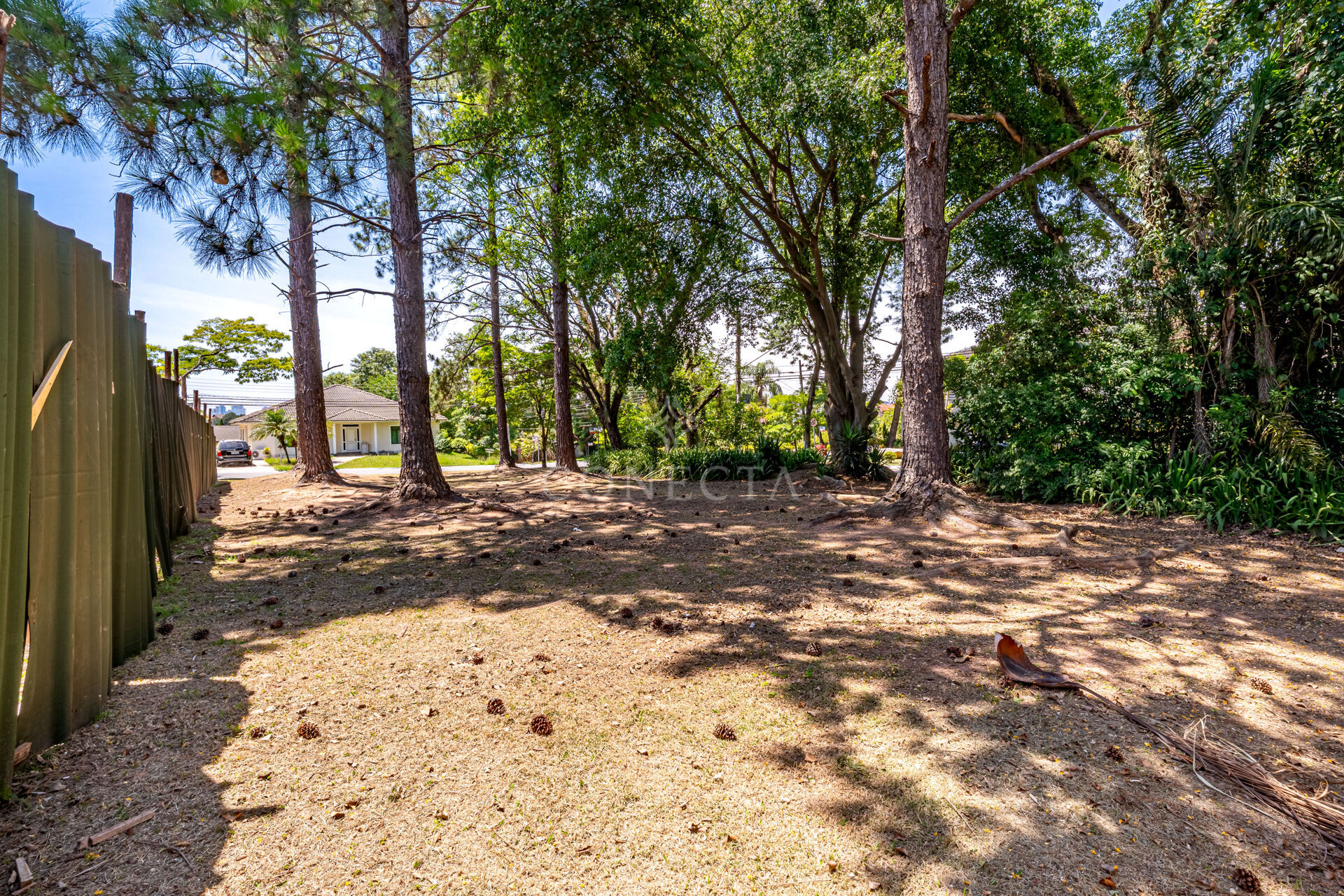 Terreno, 602 m² - Foto 6