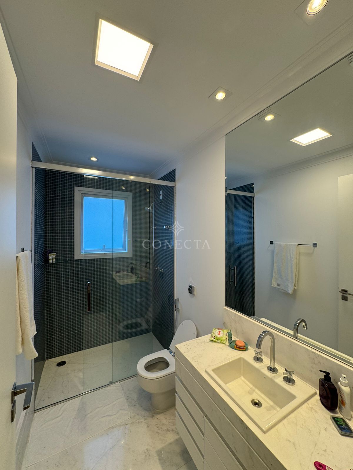 Casa, 4 quartos, 475 m² - Foto 27