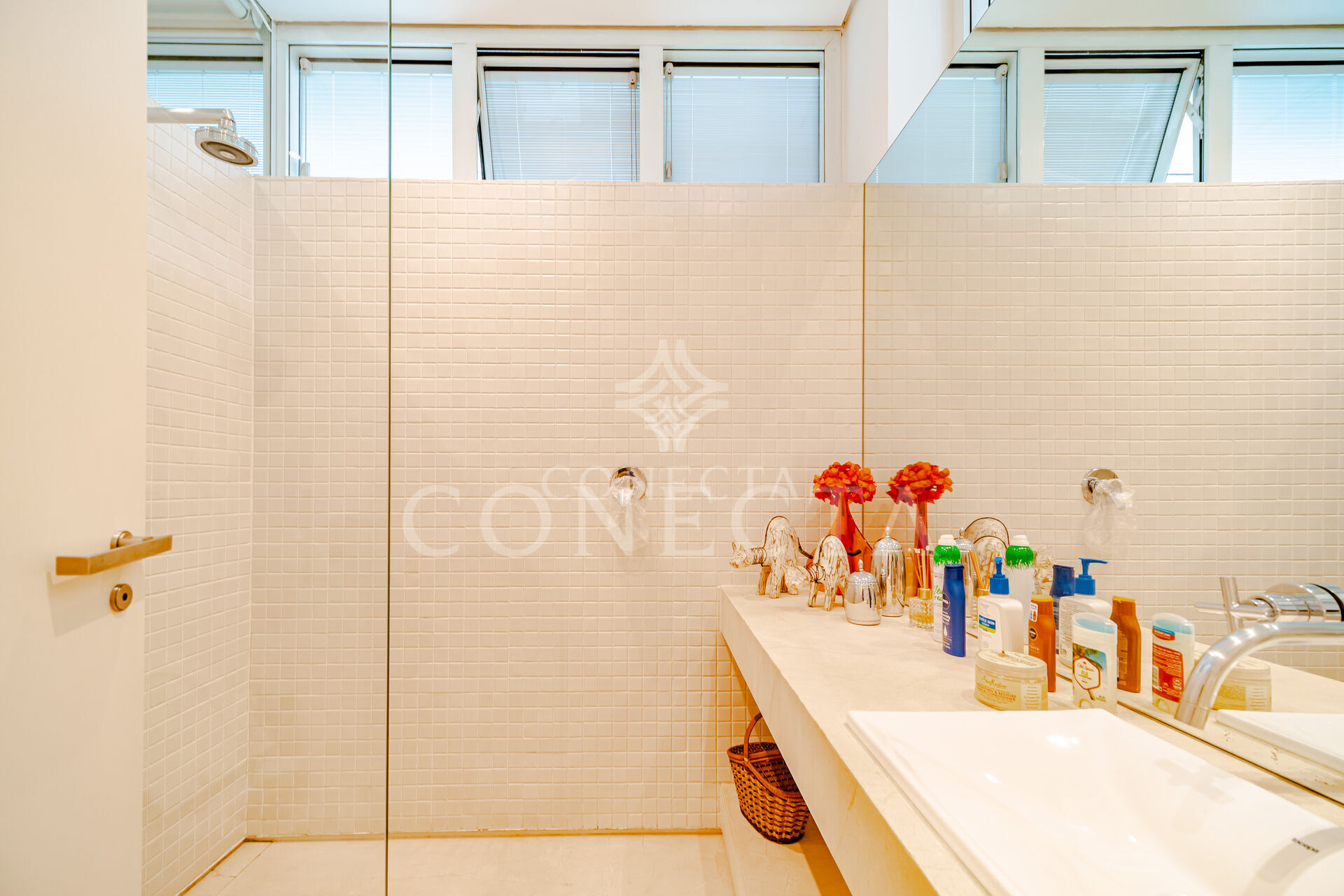 Casa, 3 quartos, 570 m² - Foto 14