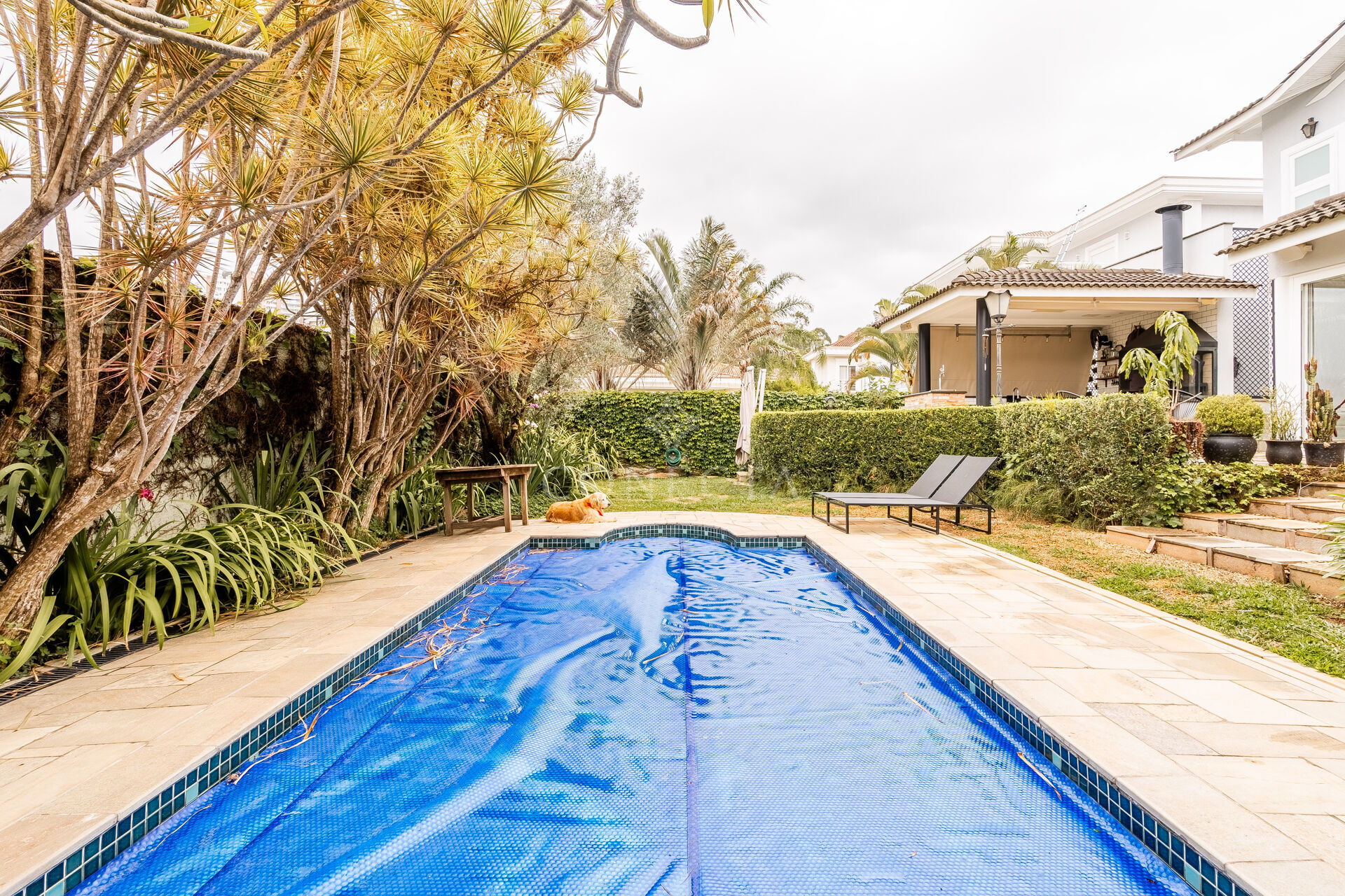 Casa, 4 quartos, 535 m² - Foto 5