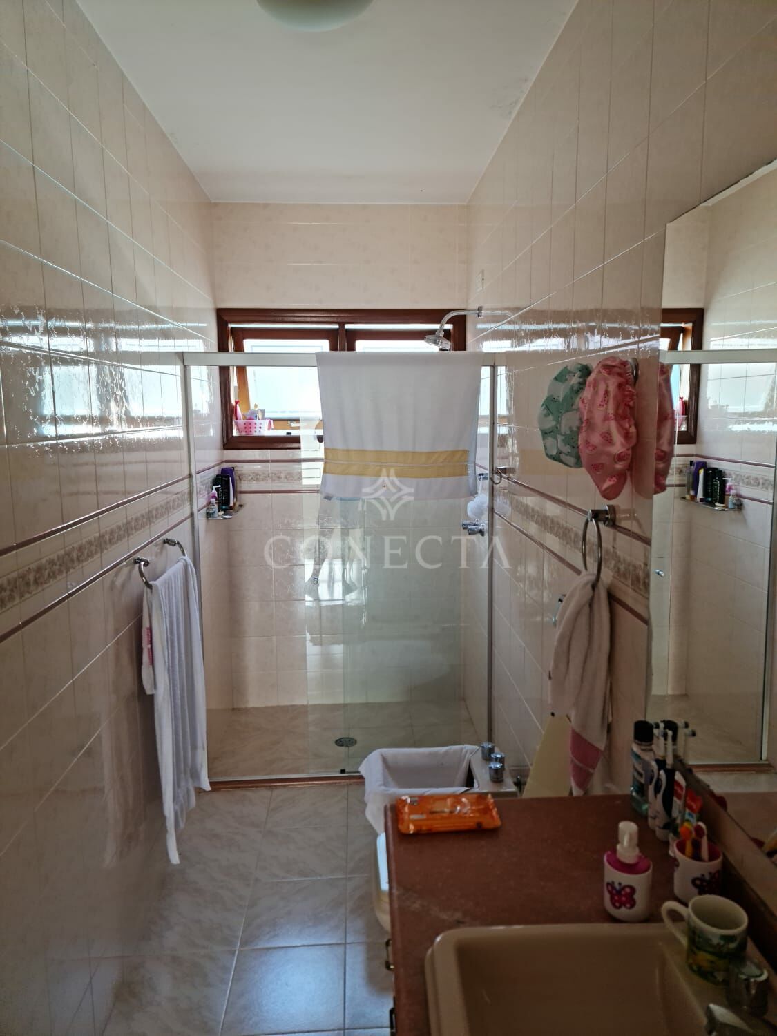 Casa, 4 quartos, 320 m² - Foto 24