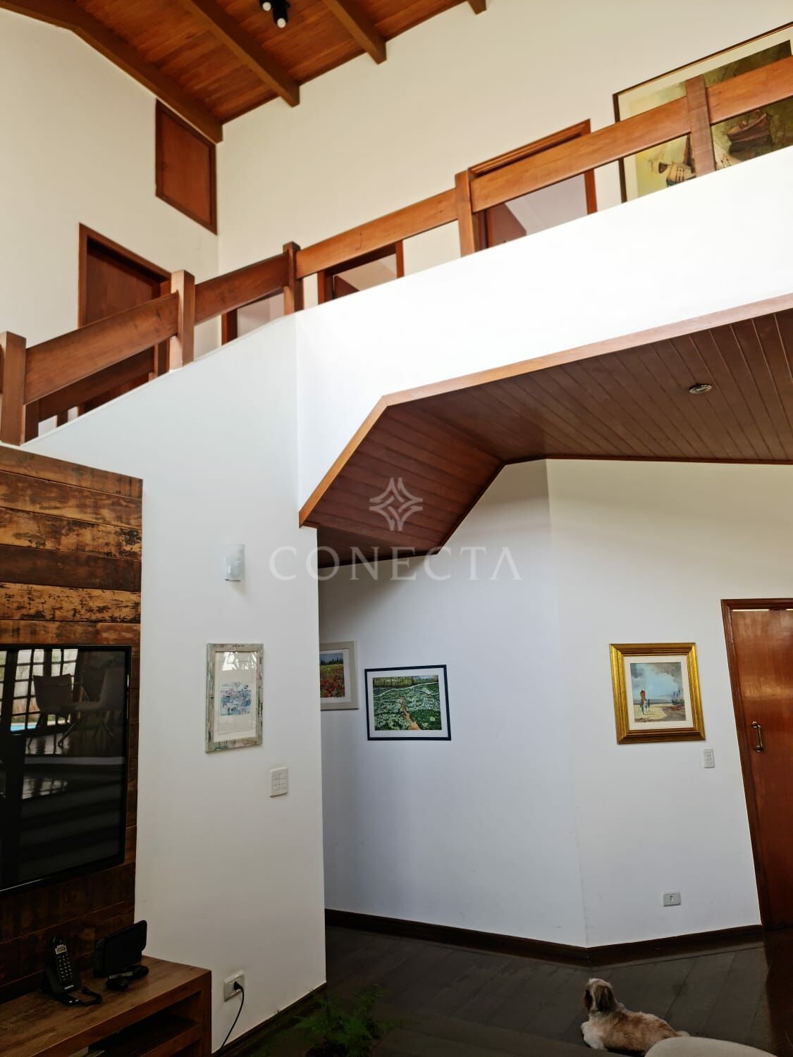 Casa, 4 quartos, 320 m² - Foto 12