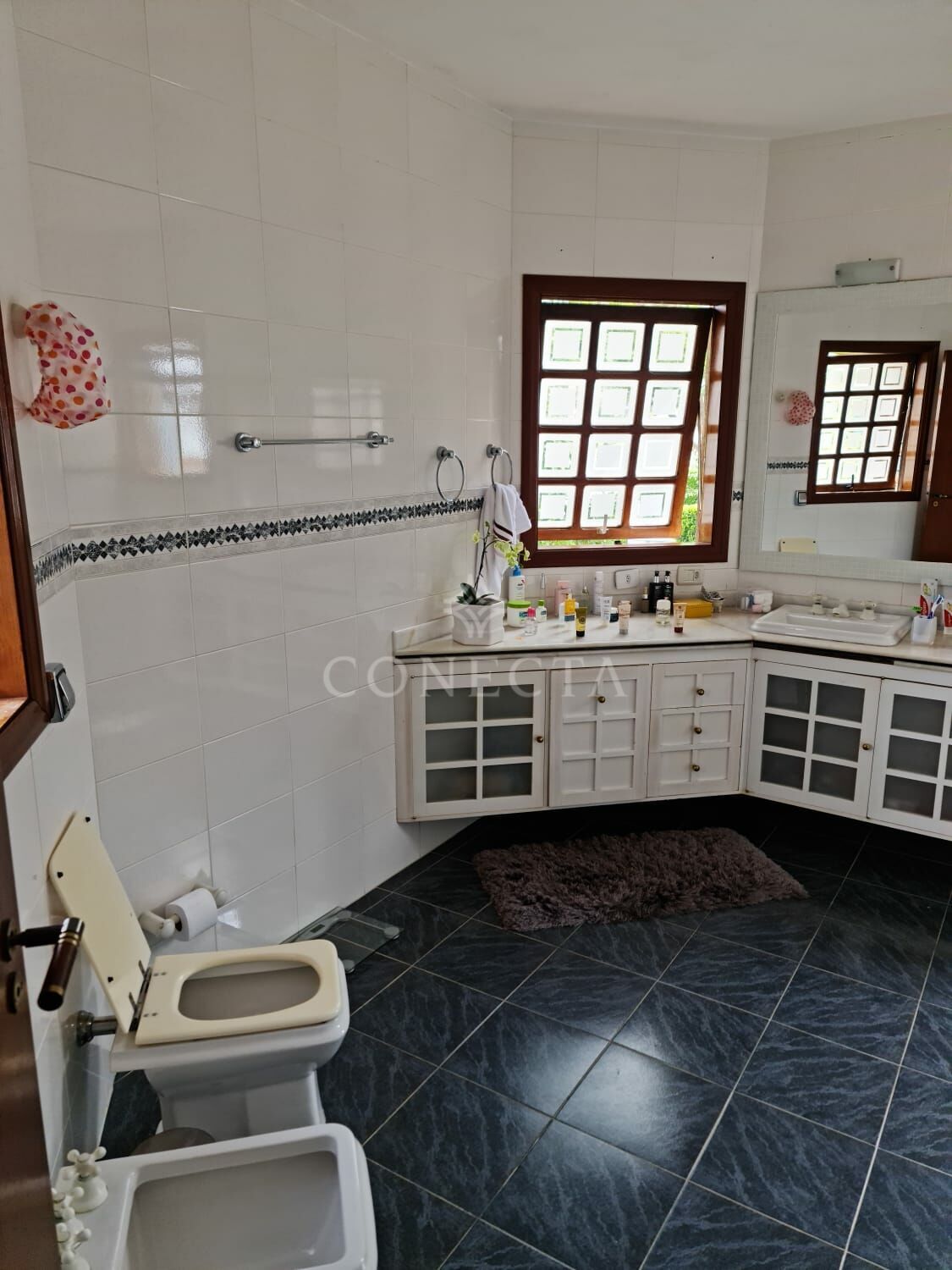 Casa, 4 quartos, 320 m² - Foto 19