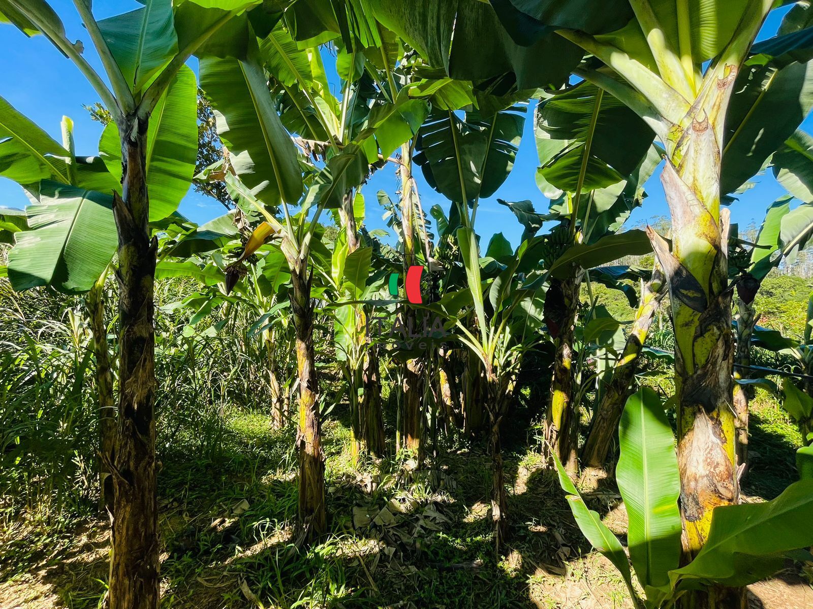 Fazenda/Sítios/Chácaras de 4 quartos, 1500m² no bairro Limeira Alta, em Brusque | Eu Corretor