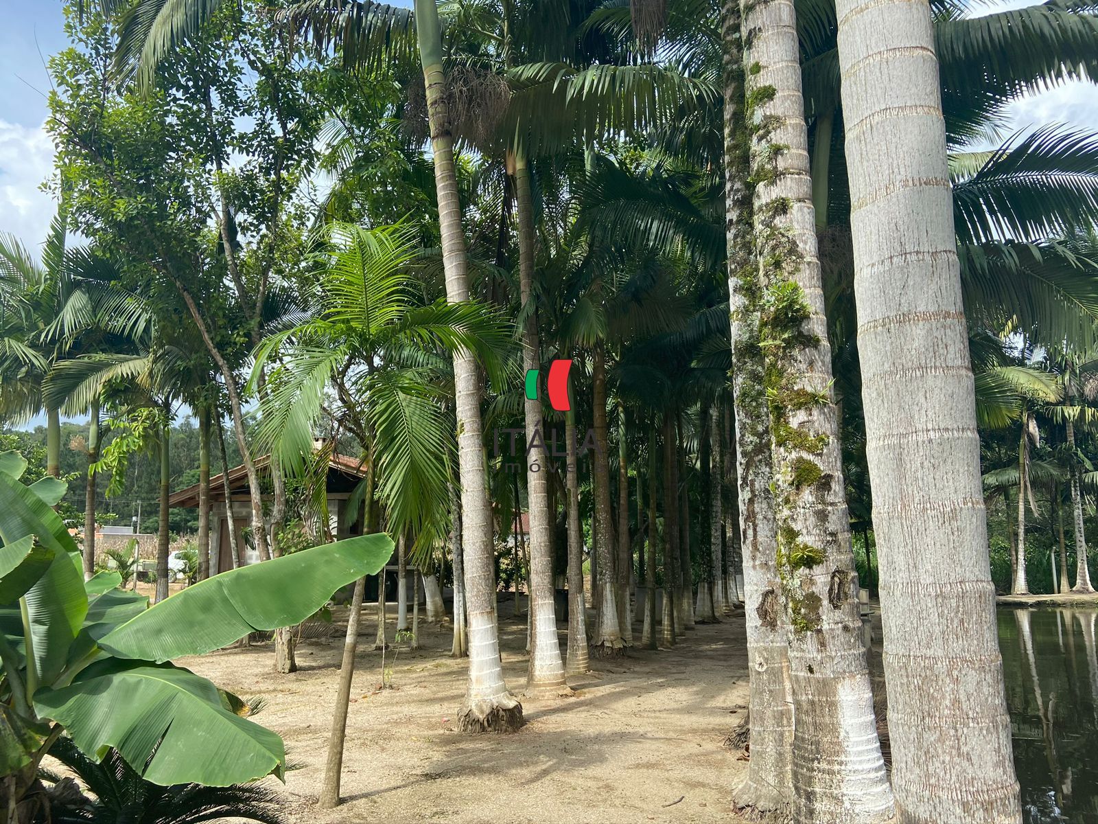 Fazenda/Sítios/Chácaras de 2 quartos, 3000m² no bairro Centro, em Guabiruba | Eu Corretor