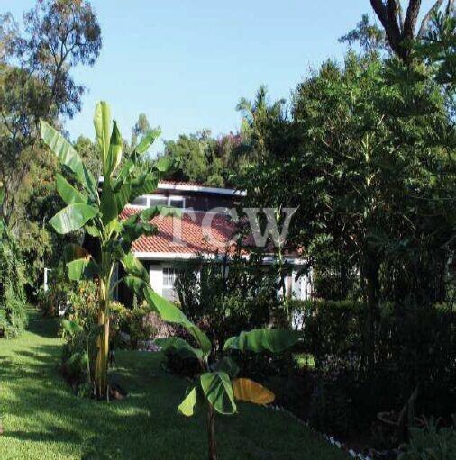 Chácara, 5 quartos, 6349 m² - Foto 3