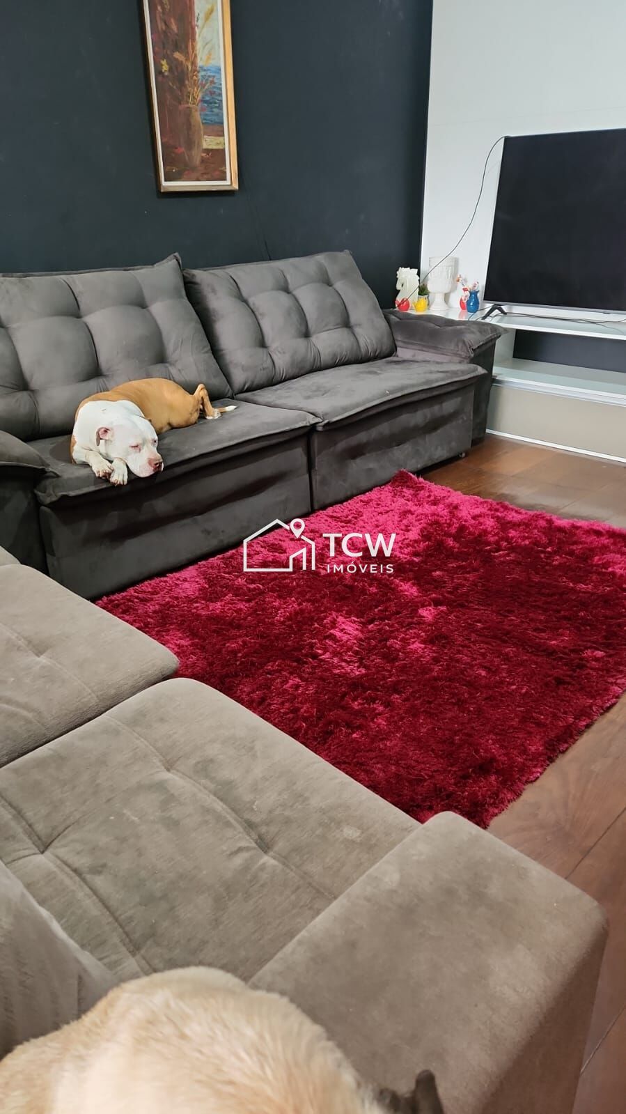 Casa, 4 quartos, 350 m² - Foto 4