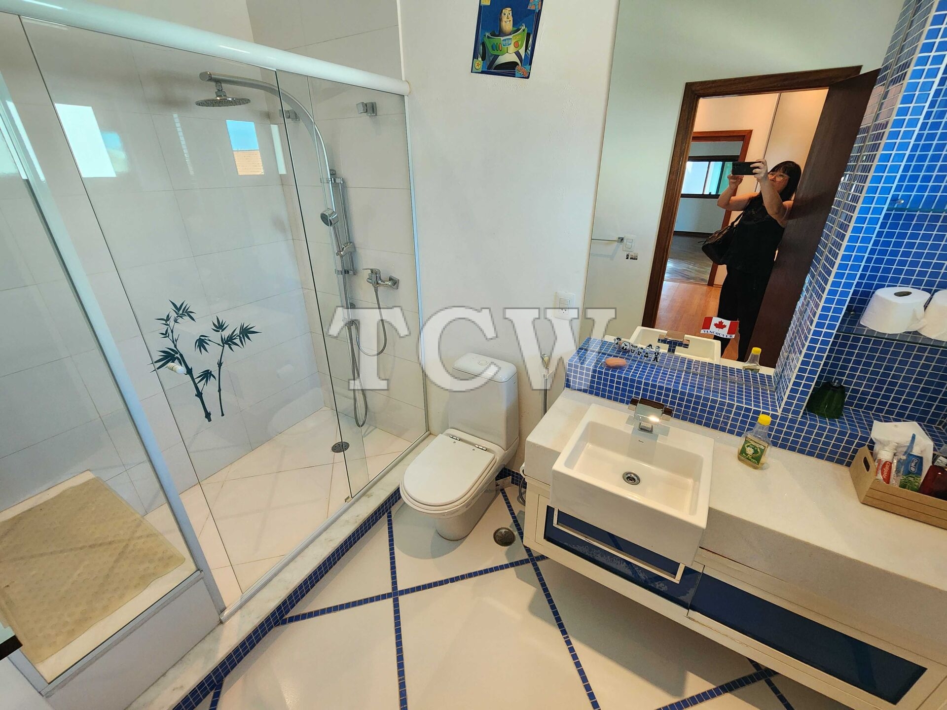 Casa de Condomínio à venda com 7 quartos, 500m² - Foto 36
