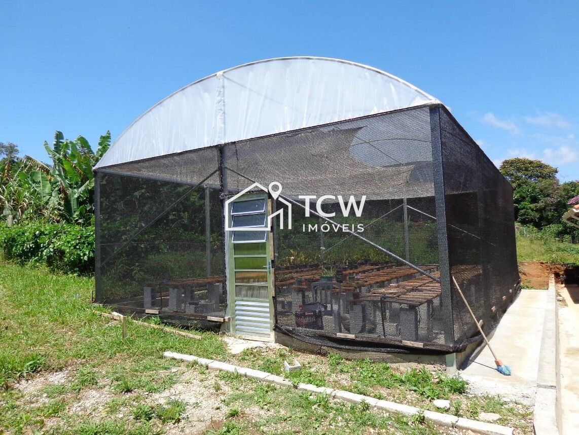 Sítio, 4 quartos, 5 hectares - Foto 4