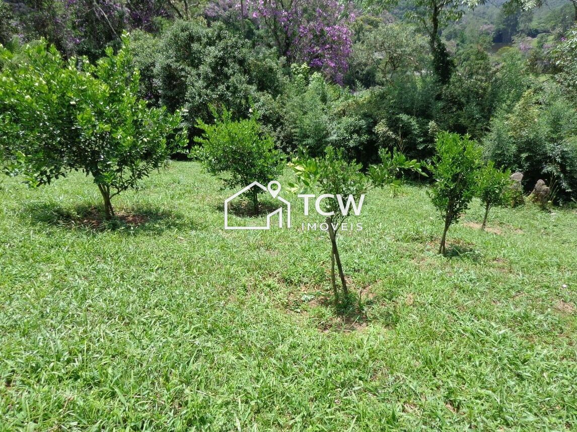 Sítio, 4 quartos, 5 hectares - Foto 3