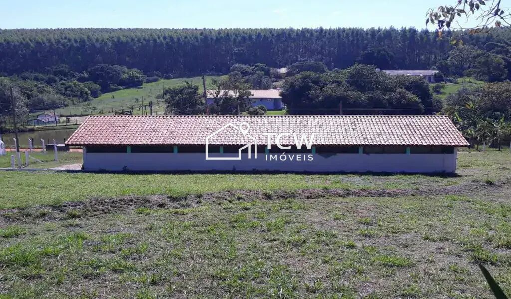 Terreno, 2 hectares - Foto 4