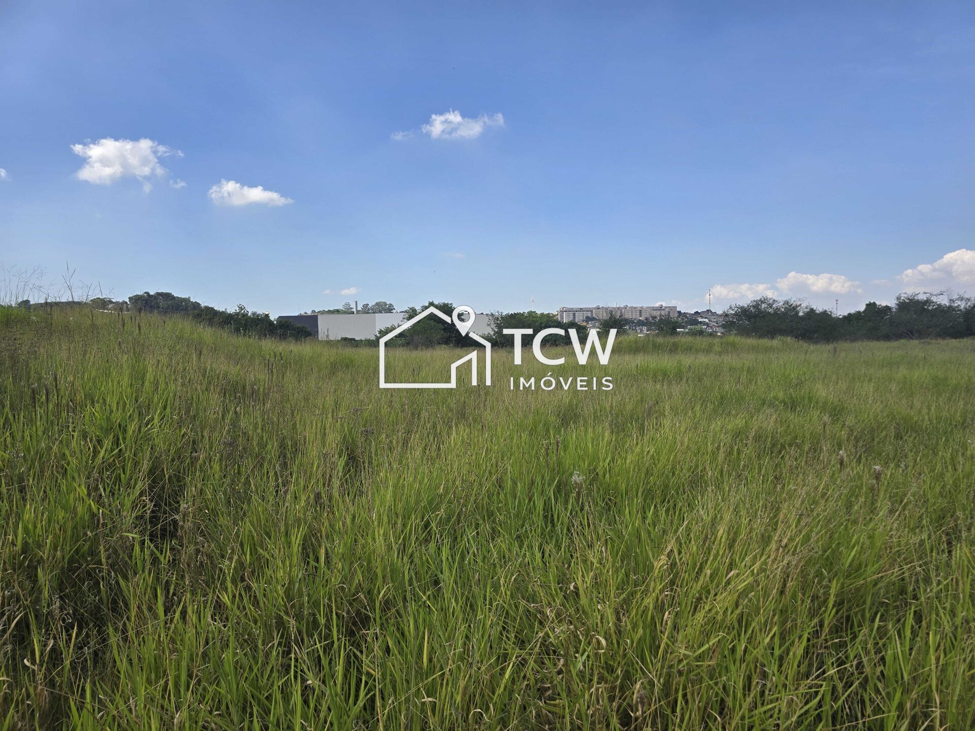 Terreno, 3 hectares - Foto 4