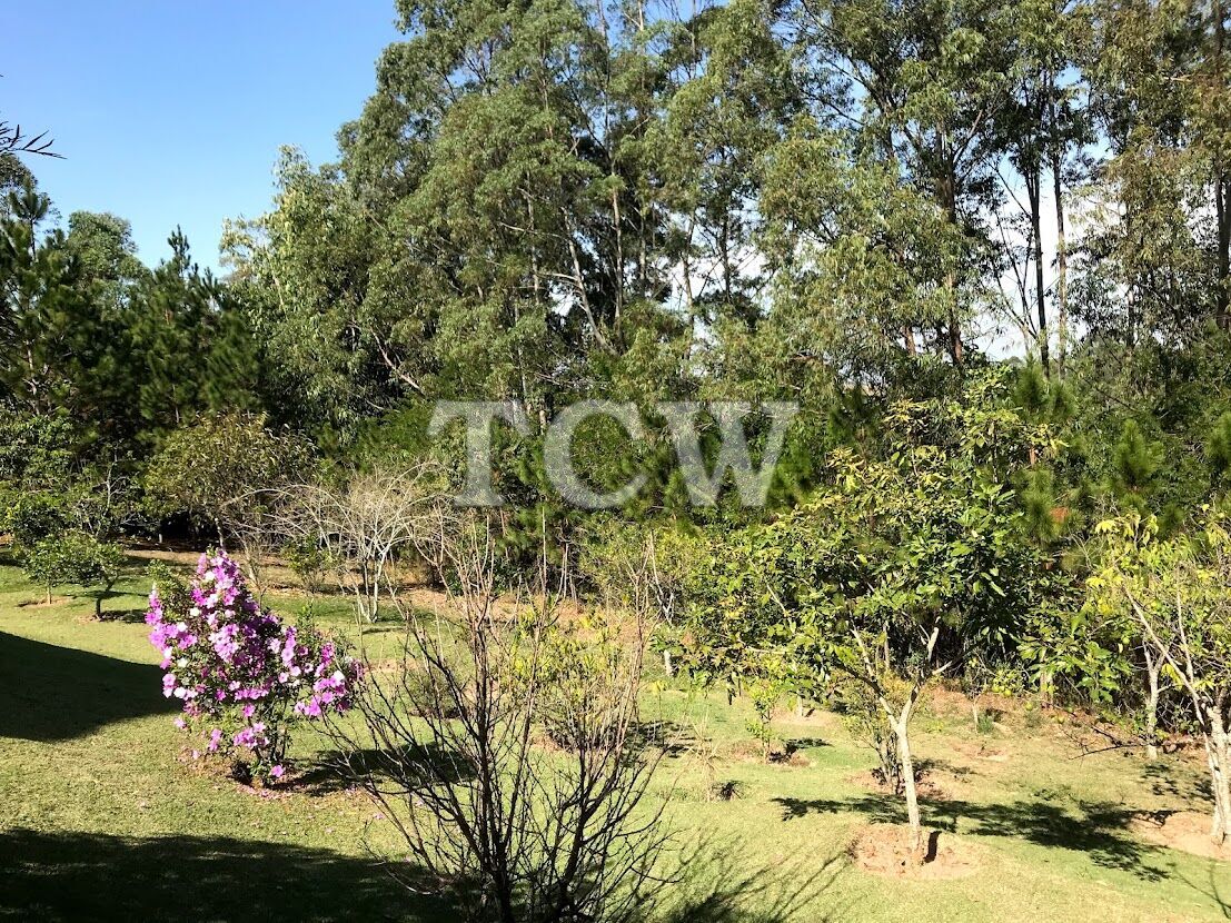 Sítio à venda com 3 quartos, 21000m² - Foto 8