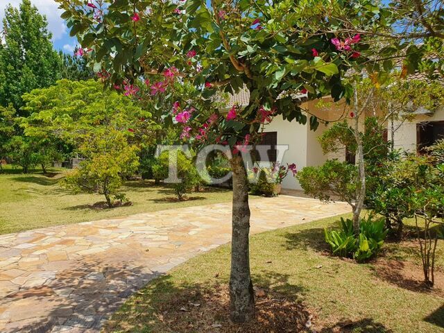 Sítio à venda com 3 quartos, 21000m² - Foto 48