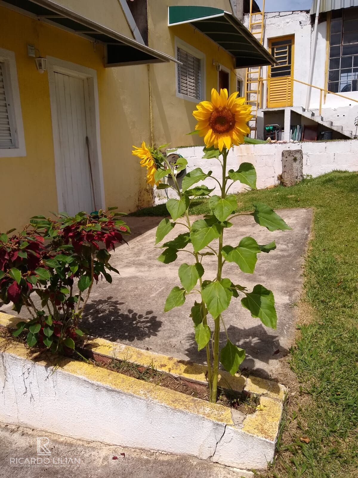 Fazenda à venda com 3 quartos, 24000m² - Foto 17