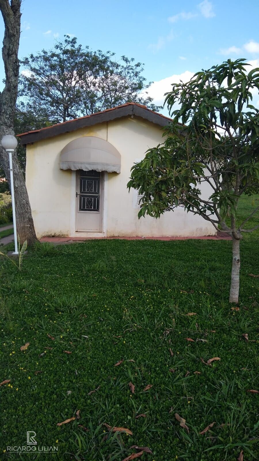 Fazenda à venda com 3 quartos, 24000m² - Foto 8