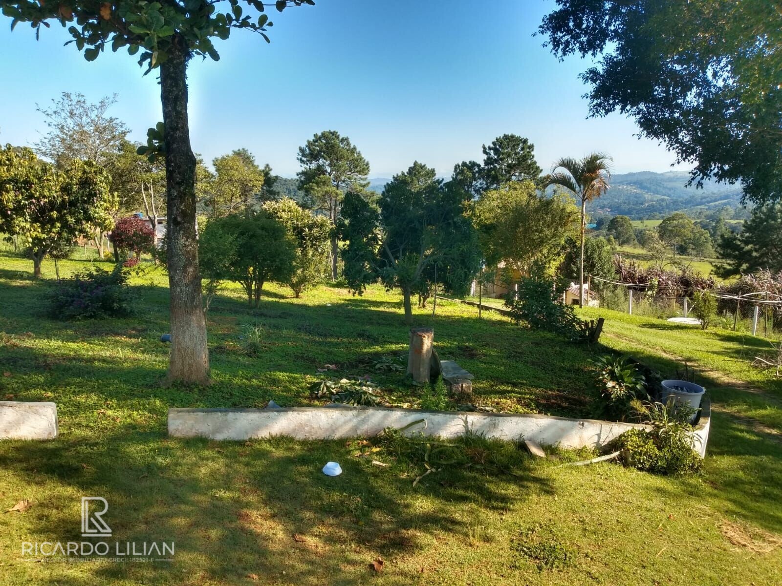 Fazenda à venda com 3 quartos, 24000m² - Foto 9