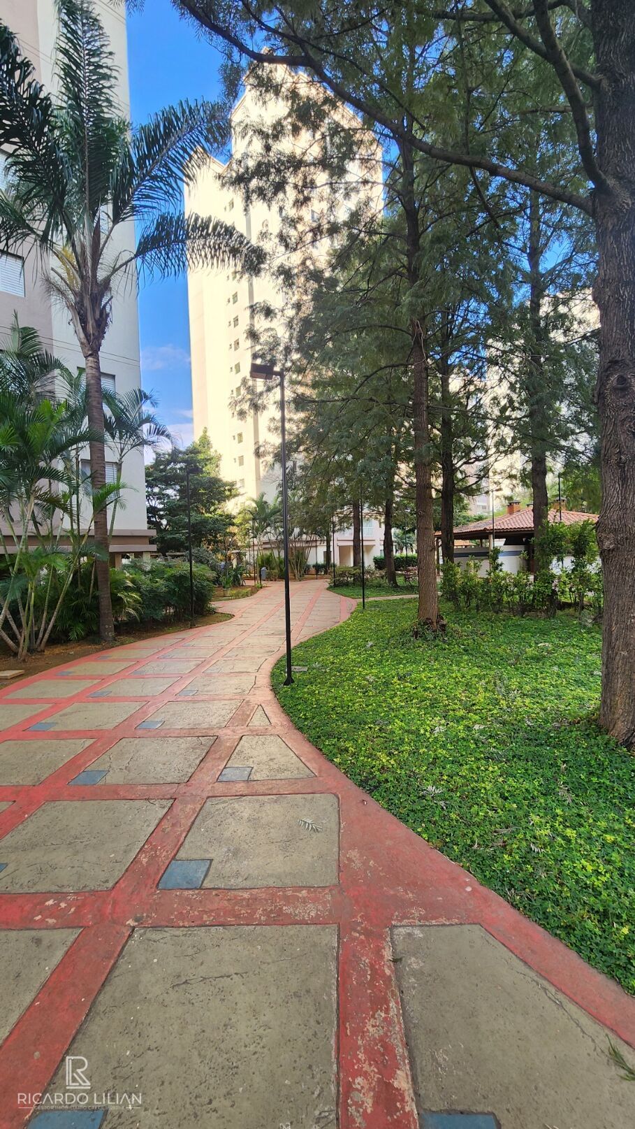 Apartamento, 3 quartos, 62 m² - Foto 33