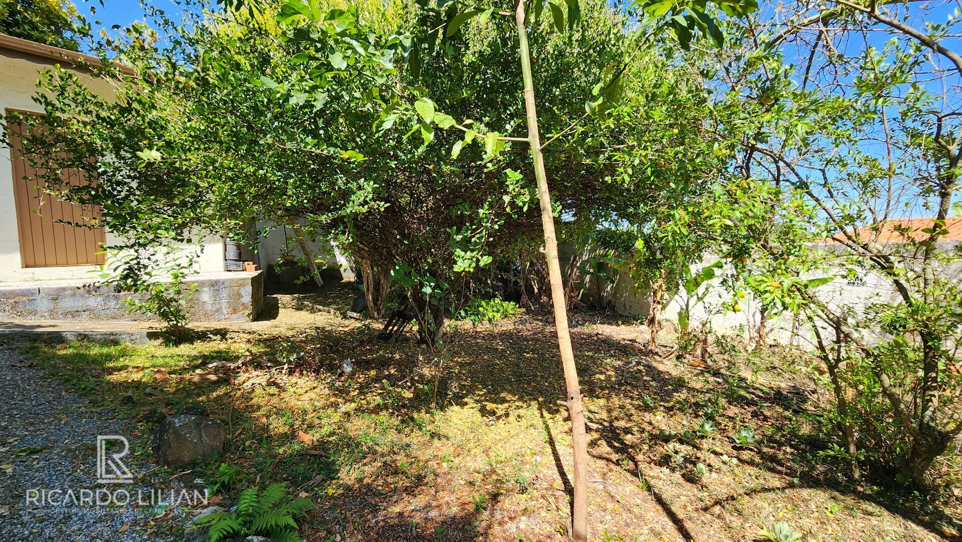 Chácara, 3 quartos, 1137 m² - Foto 40