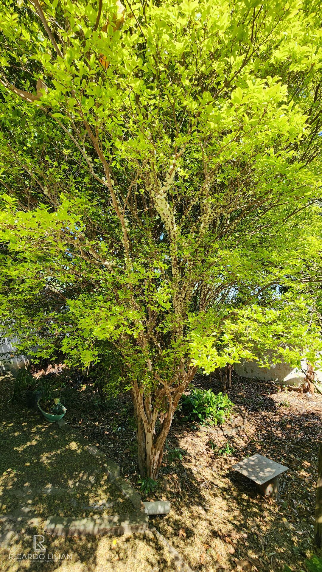 Chácara, 3 quartos, 1137 m² - Foto 42