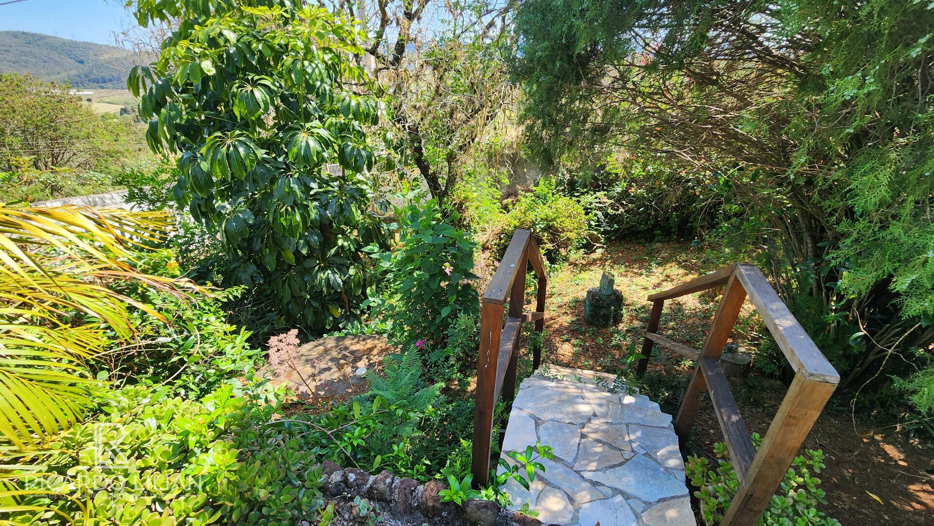 Chácara, 3 quartos, 1137 m² - Foto 8