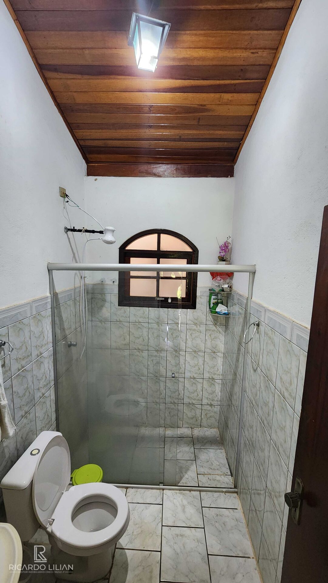 Fazenda à venda com 3 quartos, 1000m² - Foto 29