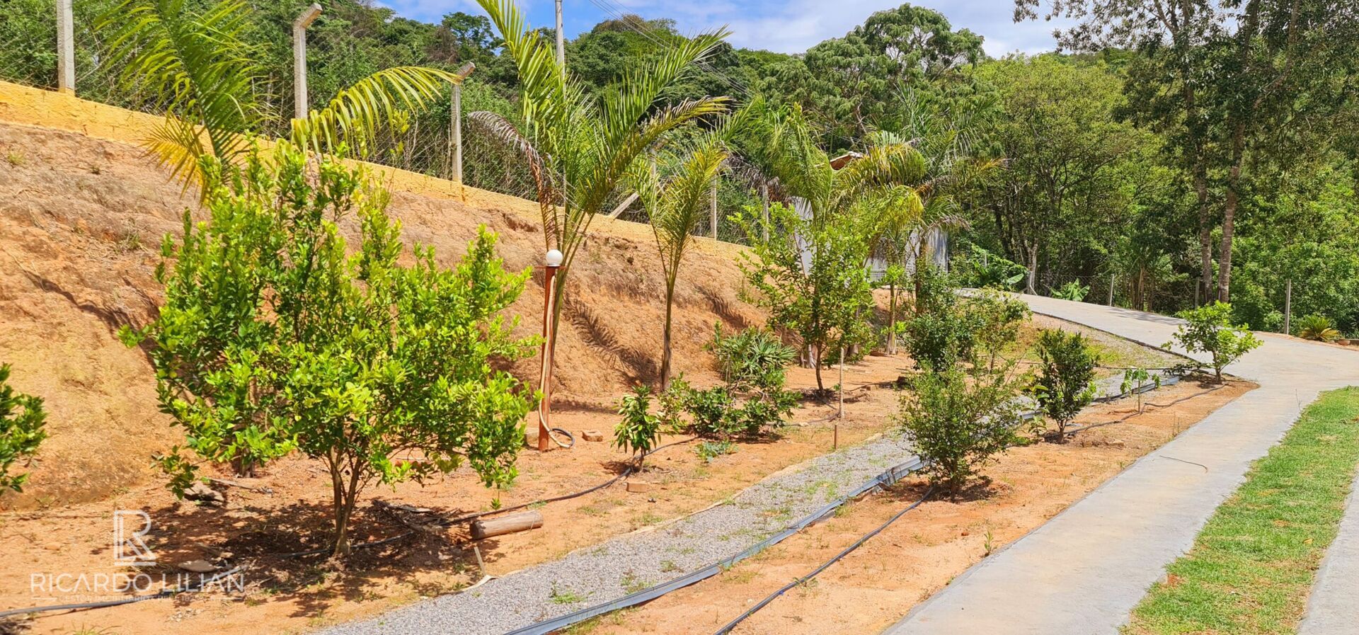 Sítio, 3 quartos, 4200 m² - Foto 31