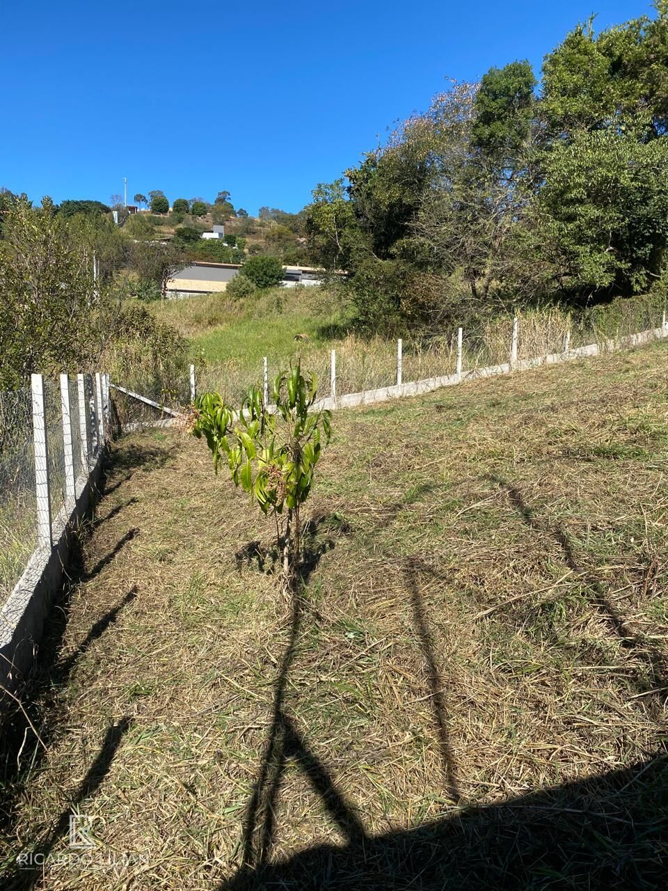 Terreno, 983 m² - Foto 5