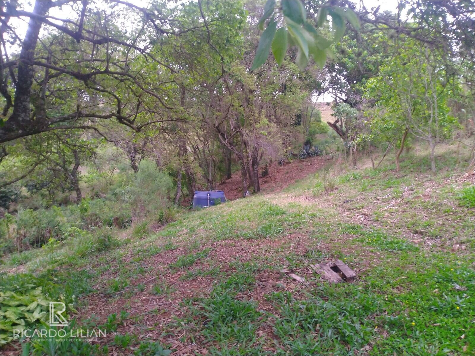 Fazenda à venda com 3 quartos, 20000m² - Foto 29