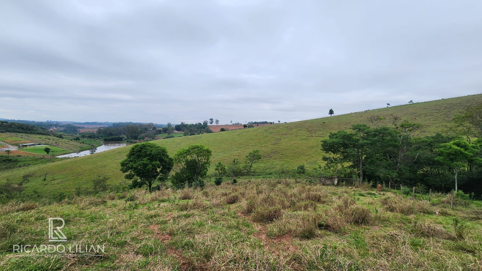 Fazenda à venda com 3 quartos, 20000m² - Foto 37