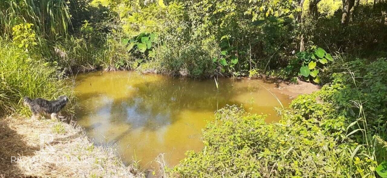 Fazenda à venda com 3 quartos, 20000m² - Foto 27