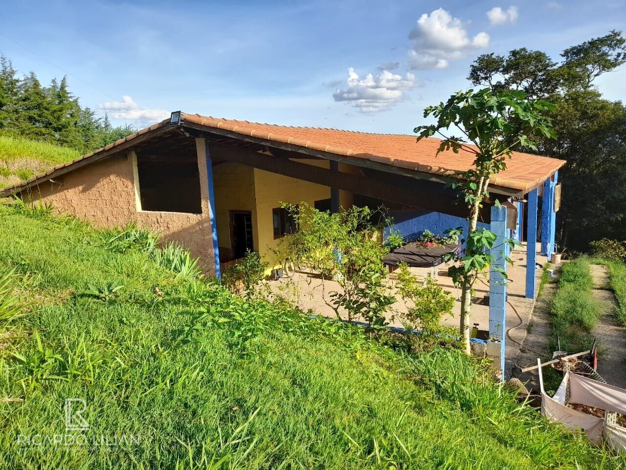 Fazenda à venda com 3 quartos, 20000m² - Foto 18