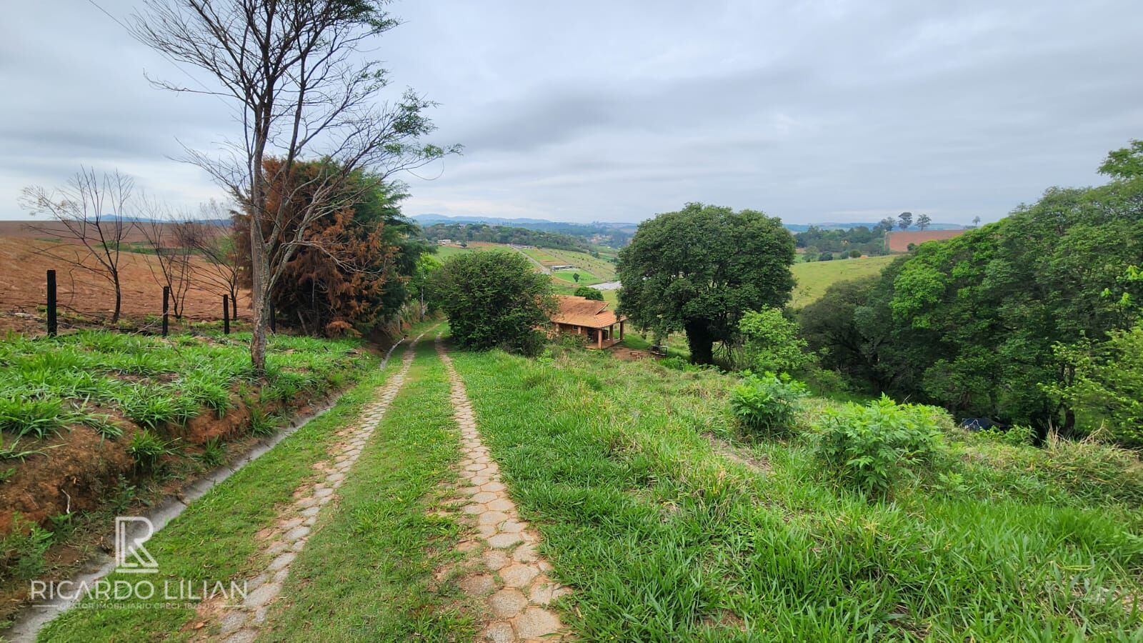 Fazenda à venda com 3 quartos, 20000m² - Foto 32