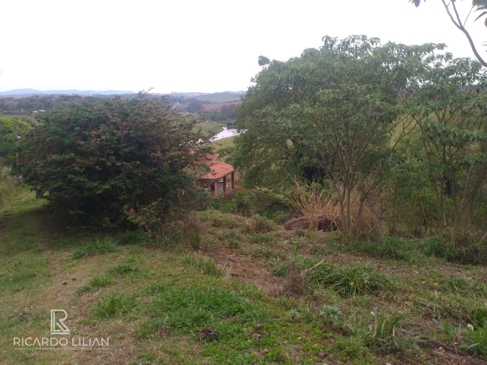 Fazenda à venda com 3 quartos, 20000m² - Foto 33